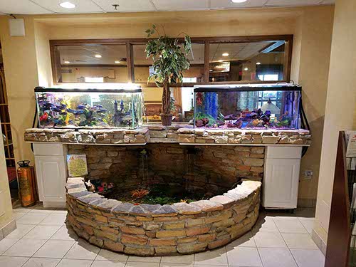Manchester Inn and Suites