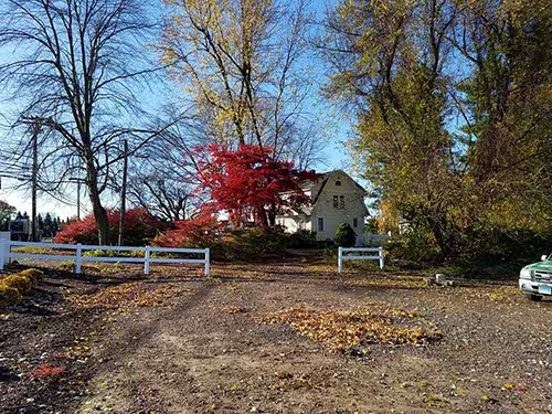 Fall Foliage, CT
