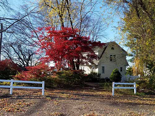 Fall Foliage, CT