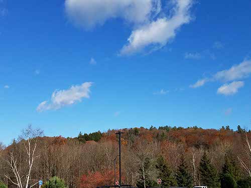 Fall Foliage, VT