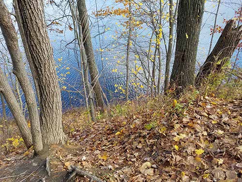  Brattleboro, VT