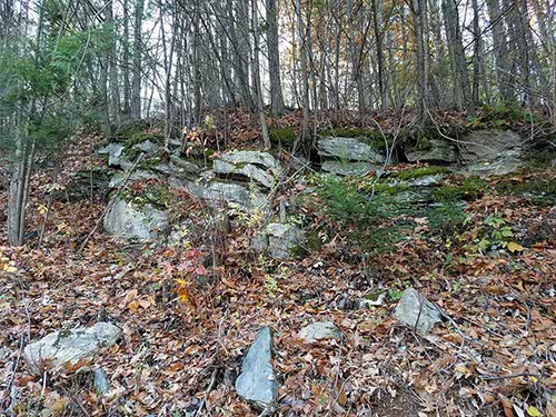 New Hampshire foliage