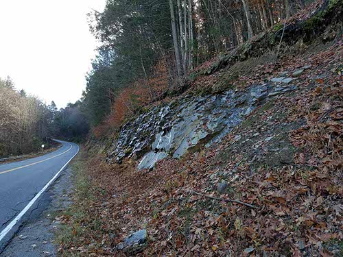 New Hampshire foliage