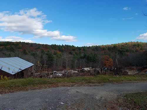 New Hampshire foliage