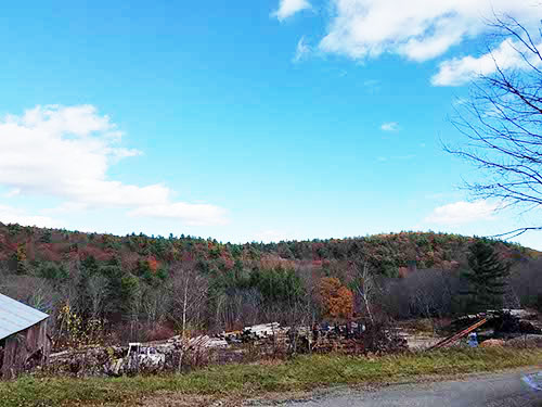 New Hampshire foliage
