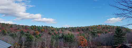 New Hampshire foliage