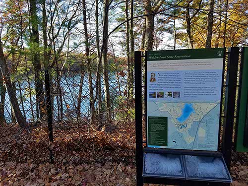 Walden Pond