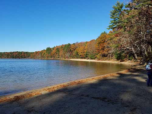 Walden Pond