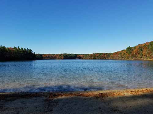 Walden Pond