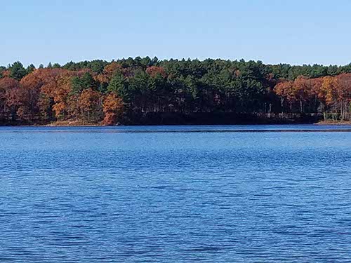 Walden Pond