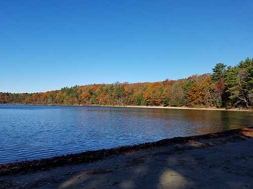Walden Pond