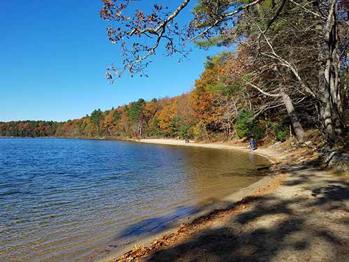 Walden Pond