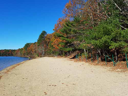 Walden Pond