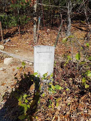 Walden Pond
