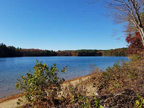 Walden Pond