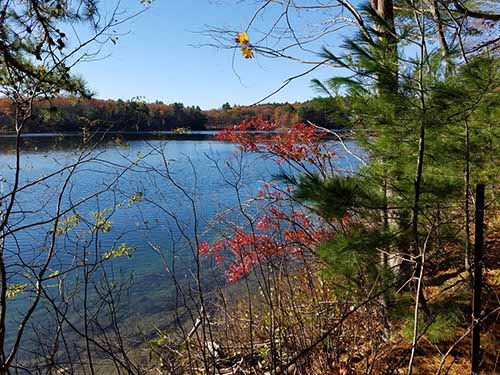 Walden Pond