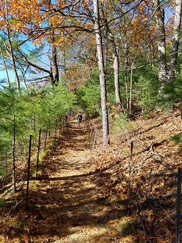 Walden Pond