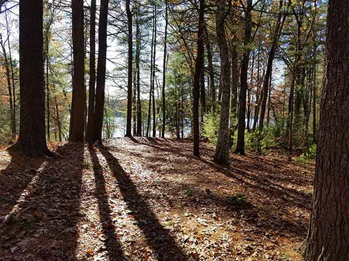 Walden Pond