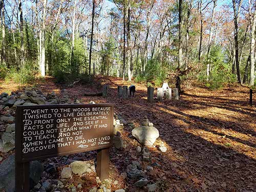 Walden Pond