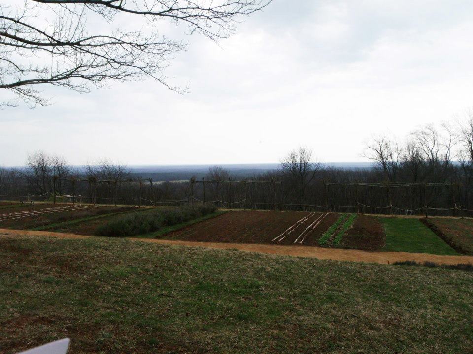 Virginia