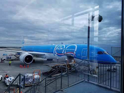 787 Dreamliner