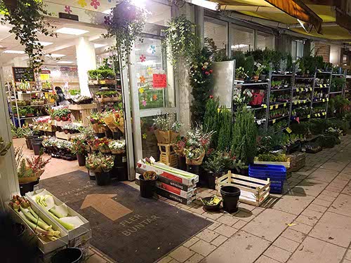 Greenery shop