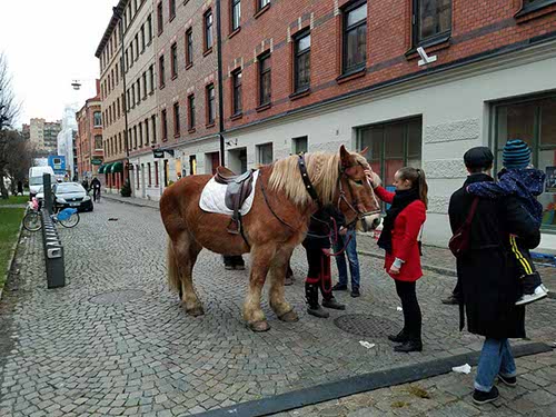 Haga Christmas Market