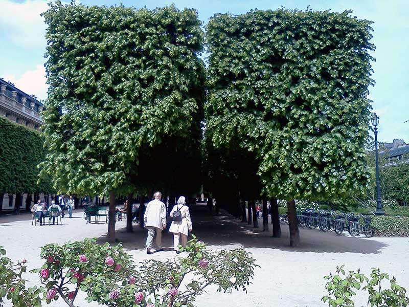 Palais Royal