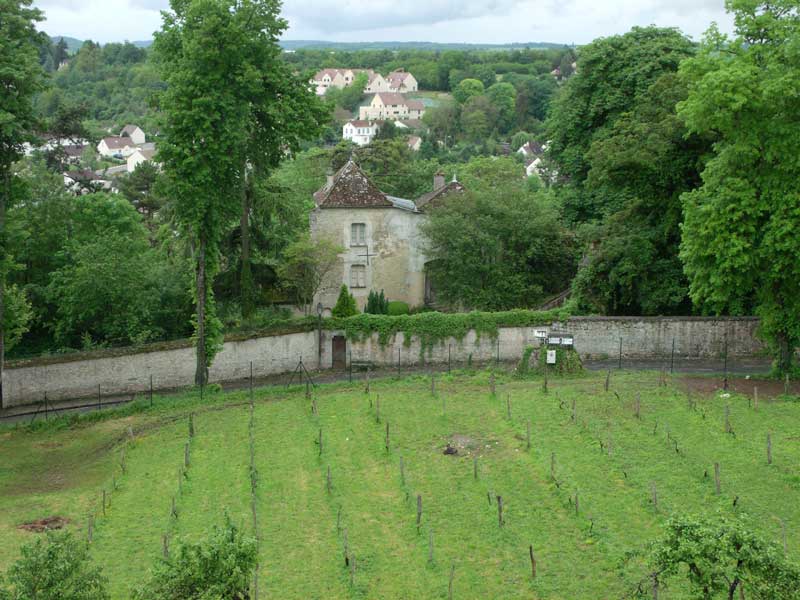 Provins