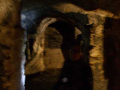 Provins