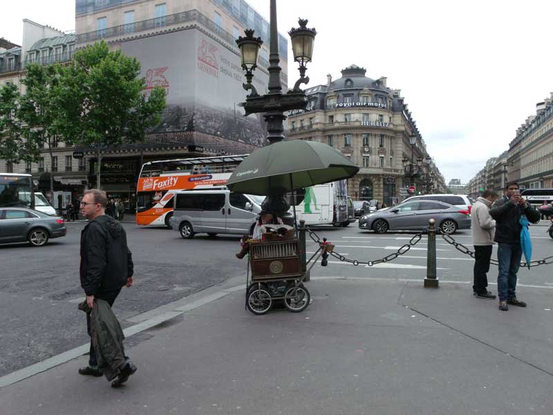 Organ Grinder and cats