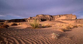 Digital Desert by R. Craig Collins