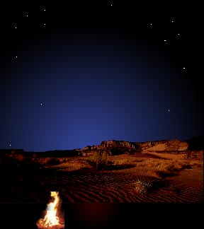 Digital Desert by R. Craig Collins