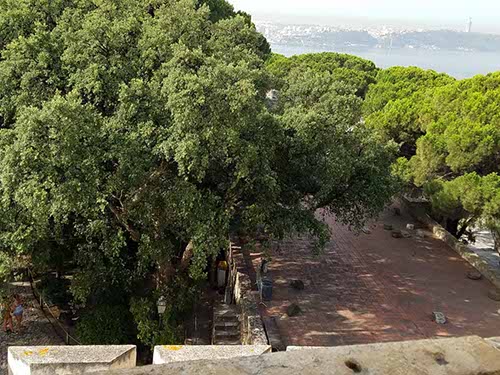 Castelo Sao Jorge