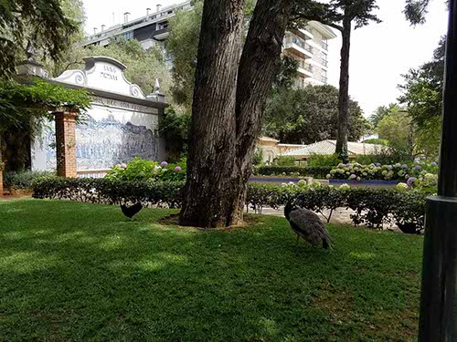 Cascais Parque Marechal Carmona