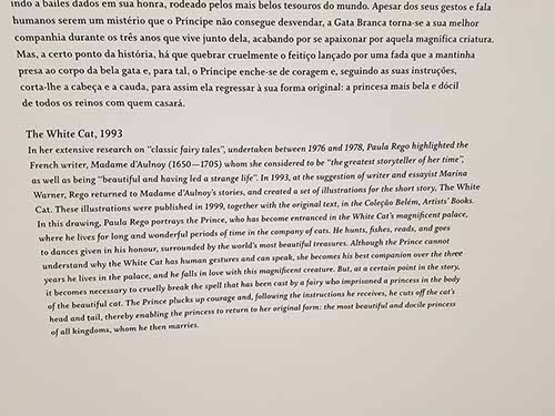 Cascais Casa das Histórias Paula Rego gallery