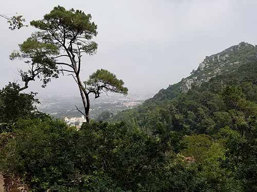 Sintra Castelo dos Mouros