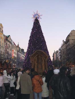 Wenceslas Christmas Market, Prague