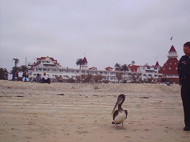 San Diego Conference images