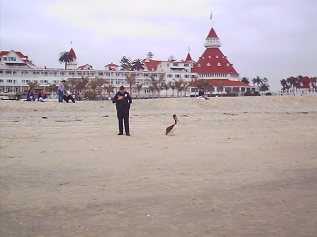 San Diego Conference images