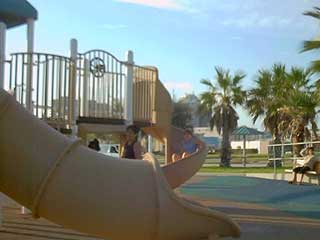 South Texas Images