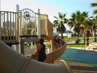 South Texas Images