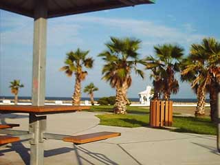 South Texas Images
