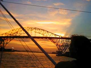South Texas Images