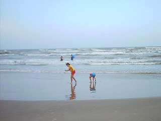 South Texas Images