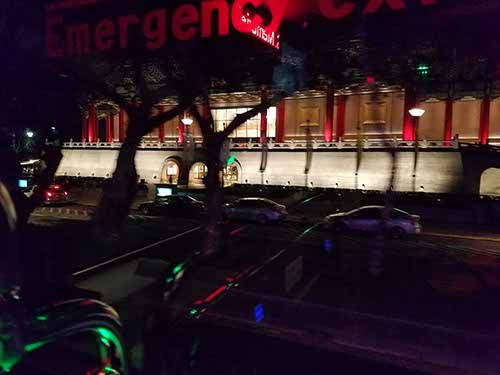Night Bus tour