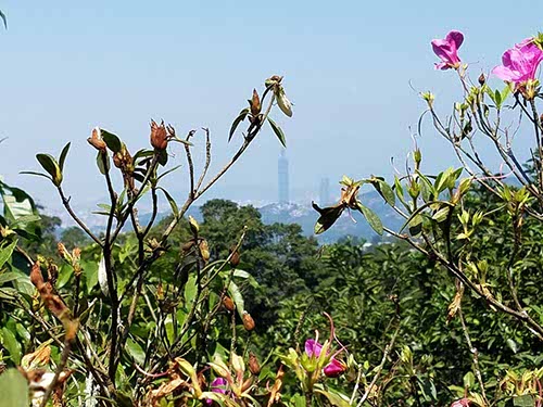 Maokong