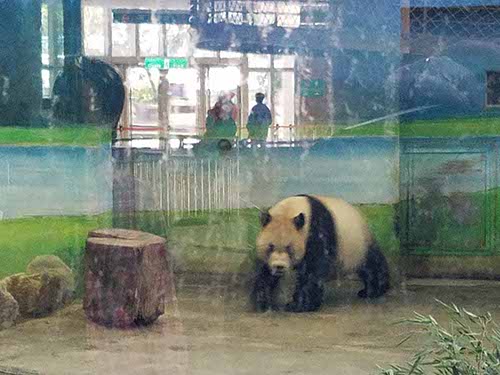 Taipei zoo