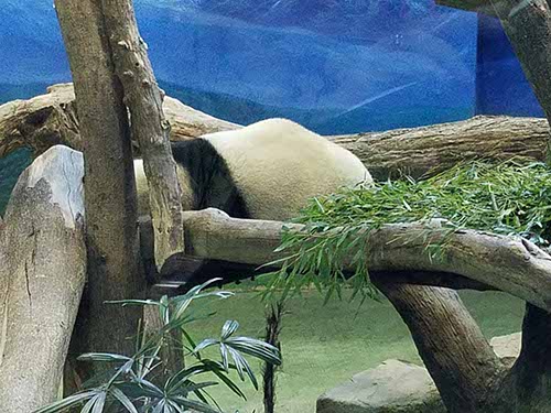 Taipei zoo