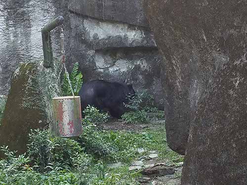Taipei zoo